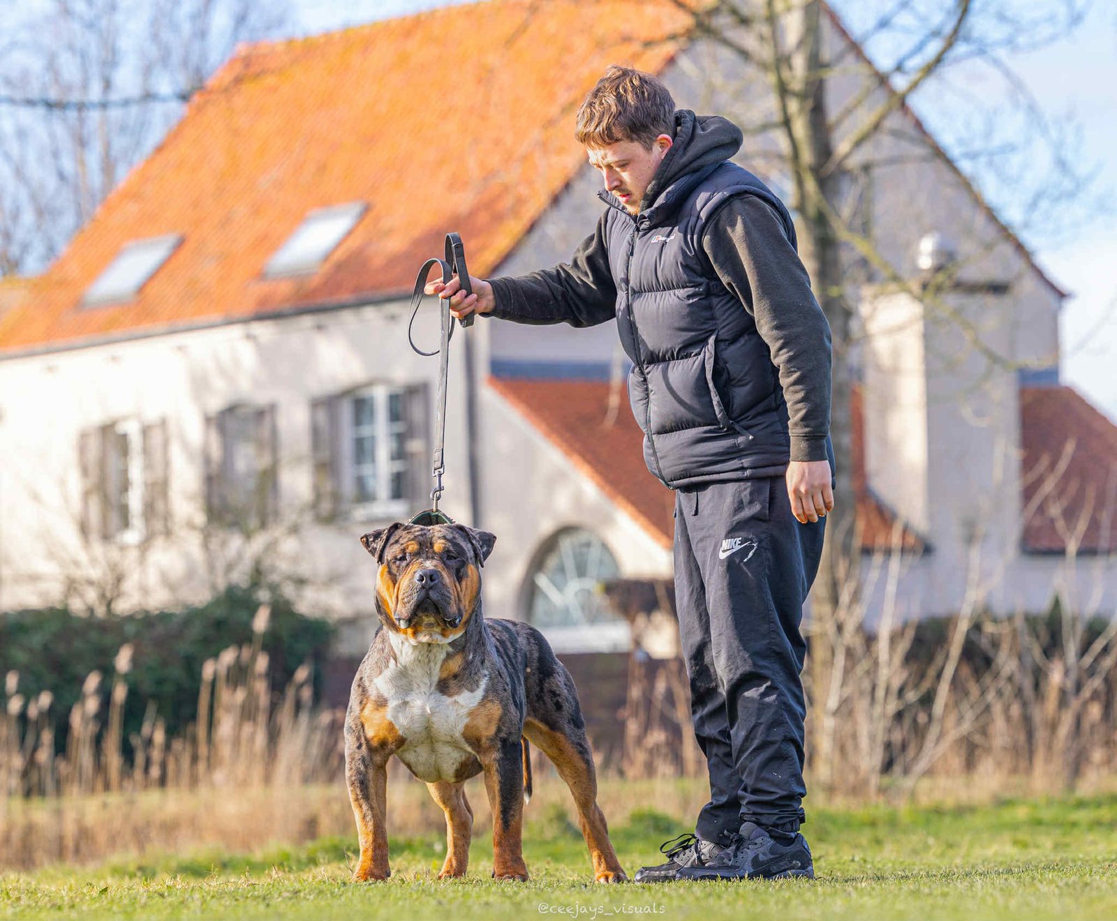 Aslan en extérieur avec son maître