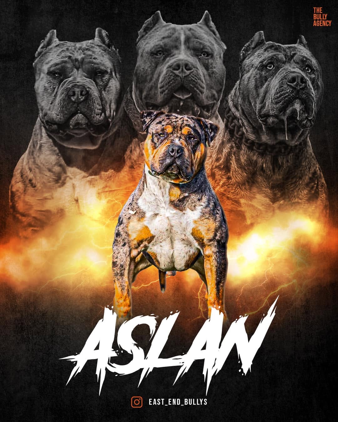 Pedigree Aslan - East End Bullys